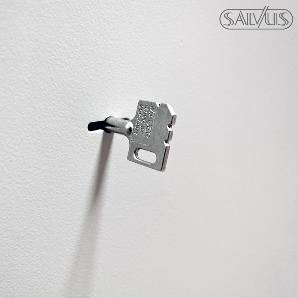 salvus-monza-3